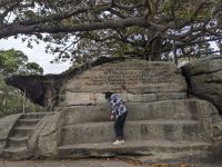 107. Stadtrundfahrt Sydney