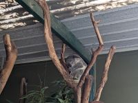 138. Featherdale Park