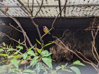 140. Featherdale Park