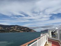 287. Auslaufen Akaroa