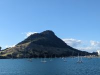 339. Auslaufen Tauranga