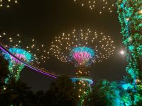 Gardens by the Bay, Singapur