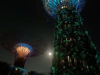 Gardens by the Bay, Singapur