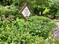 Botanischer Garten, Singapur