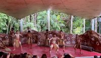 Tanzaufführung Aborigines, Kuranda