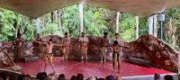 Tanzaufführung Aborigines, Kuranda