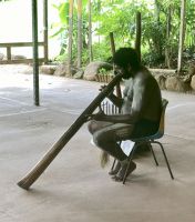 Didgeridoo, Kuranda