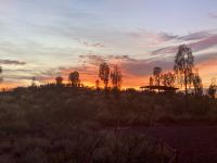 Sonnenaufgang am Uluru, Outback