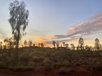 Sonnenaufgang am Uluru, Outback