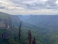 Blue Mountains, Sydney