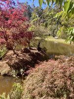 Emu Valley Garden, Burnie