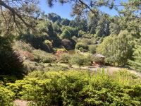 Emu Valley Garden, Burnie