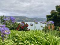 Glenfalloch Gardens, Dunedin