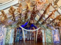 Te Papa Tongarewa, Wellington