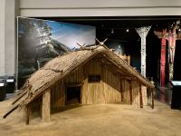 Te Papa Tongarewa, Wellington