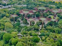 Singapur - die künstlichen Supertrees 