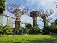 Singapur - die Supertrees im Garden by the Bay 