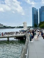 Singapur - beim Merlion