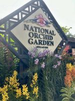 Singapur - next stop