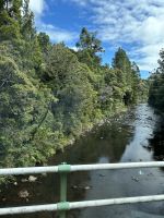 üppiges Grün überall