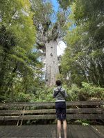 Tane Mahuta...geschätzt 1500-2000 Jahre alt 