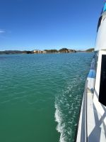 immer wieder neue Begeisterung!