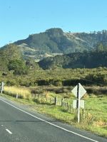 Ausflug zum Cape Reinga