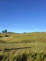 die Natur wird rauher...