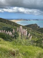 die fast nördlichste Stelle Neuseelands