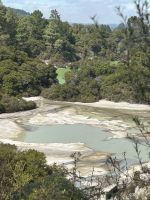 ...in vielerlei Ausprägung