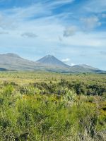 Ankunft im Tongariro Nationalpark 