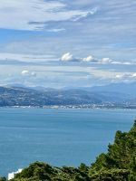 Blick vom Mount Victoria auf Wellington