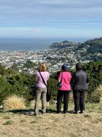 wir schauen erstmal von oben...