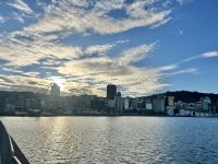 über den Hafen...