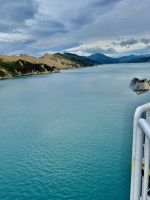 Südinsel in Sicht - die Marlborough sounds