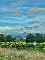 Das neuseeländische Weinland