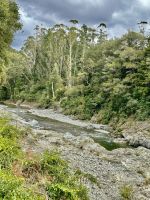 auch hier wilde Natur