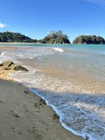 ...und restlos begeistert 