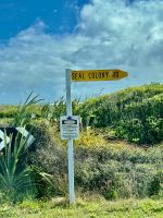 ....kommen wir zur Robbenkolonie