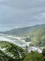 dichter Regenwald ganz nah an der Küste