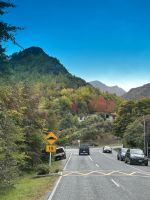 auf der Strecke...Richtung Queenstown