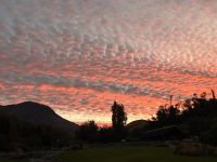 rosa Schäfchenwolken