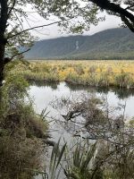 am Spiegelsee...auf dem Weg zum Milford Sound /Fiordland Nationalpark