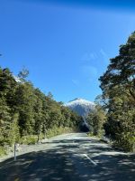 im Fiordland Nationalpark