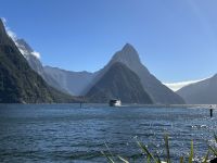 am Milford Sound Schiffsanleger