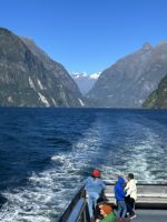 Schifffahrt auf dem Milford Sound