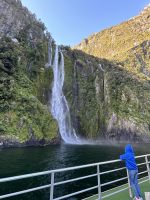 Schifffahrt auf dem Milford Sound