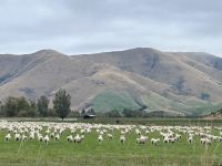 nun haben wir euch...