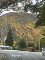 Ankunft in Arrowtown