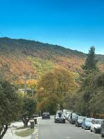 bezaubernde Herbstfarben in Arrowtown